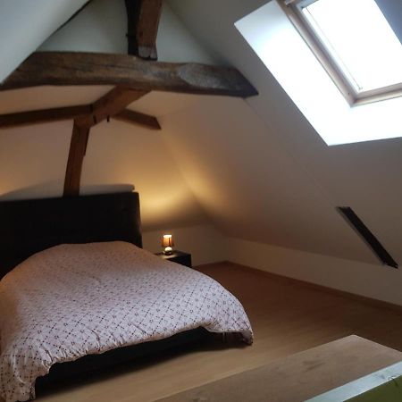 Chez Laiko Wifi Gratuit Villa Beaulieu-sur-Loire Luaran gambar