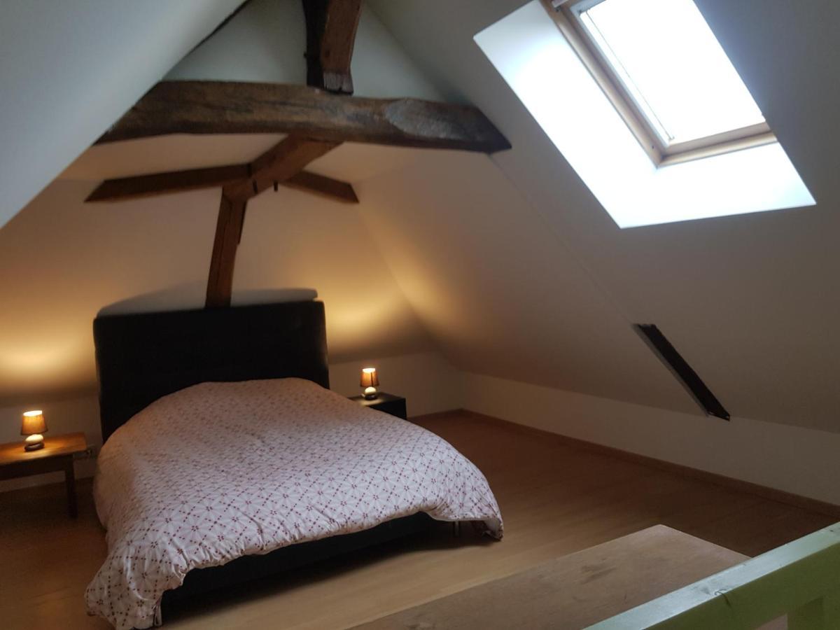 Chez Laiko Wifi Gratuit Villa Beaulieu-sur-Loire Luaran gambar